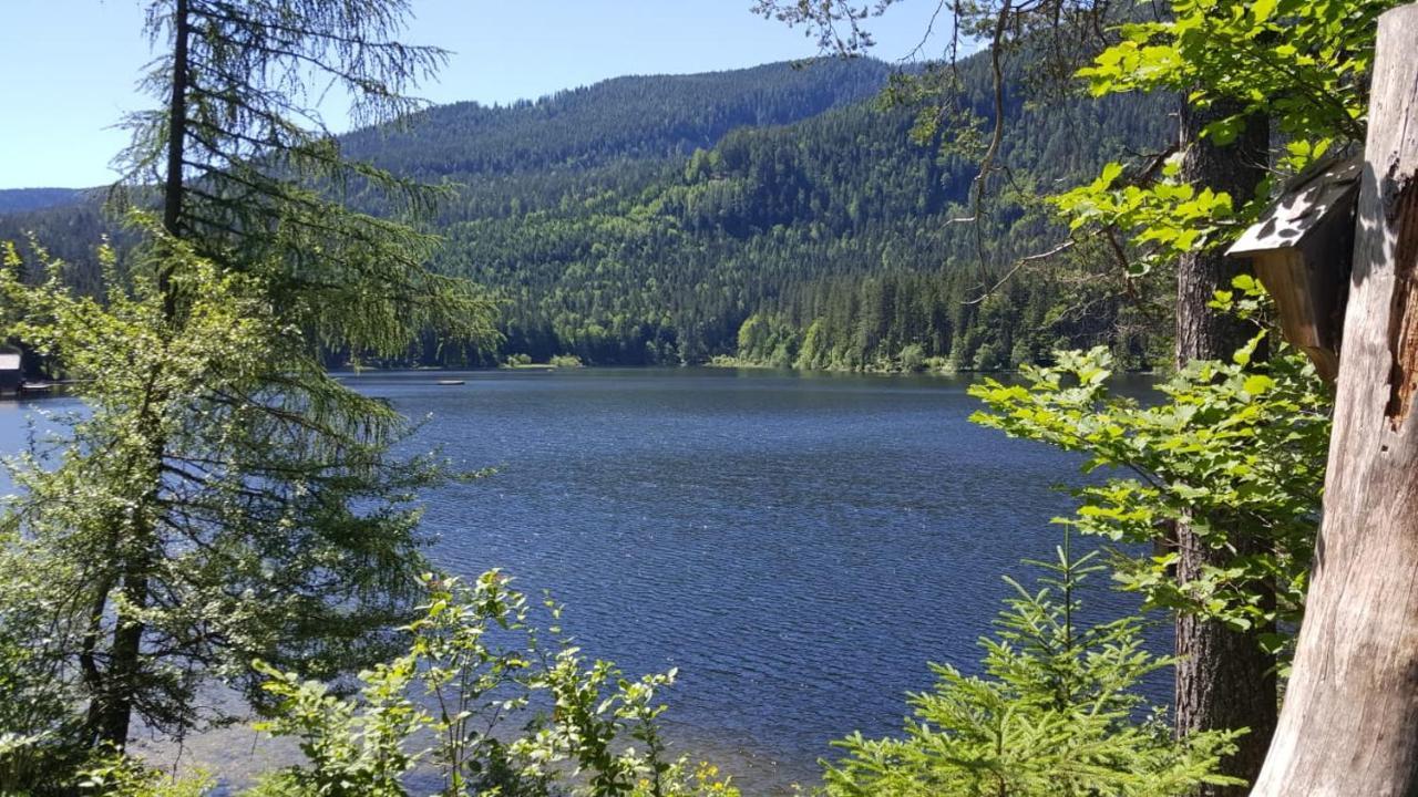 Ferienwohnung Grimmingblick - Auszeit Vom Alltag Obersdorf エクステリア 写真